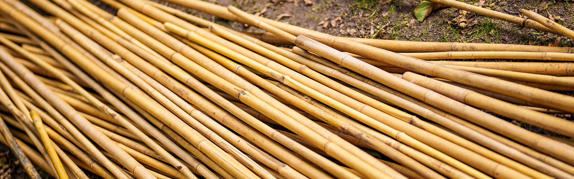 Bamboe bouwen | Bedrijfsuitjes in Twente