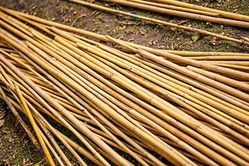 bamboe bouwen | bedrijfsuitjes in twente s 2